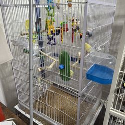 AVAILABLE:BIRD+cage+accessories+toys( EVERYTHING IN THE PICTURE IS INCLUDED)