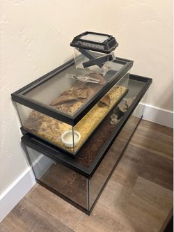 Reptile tanks