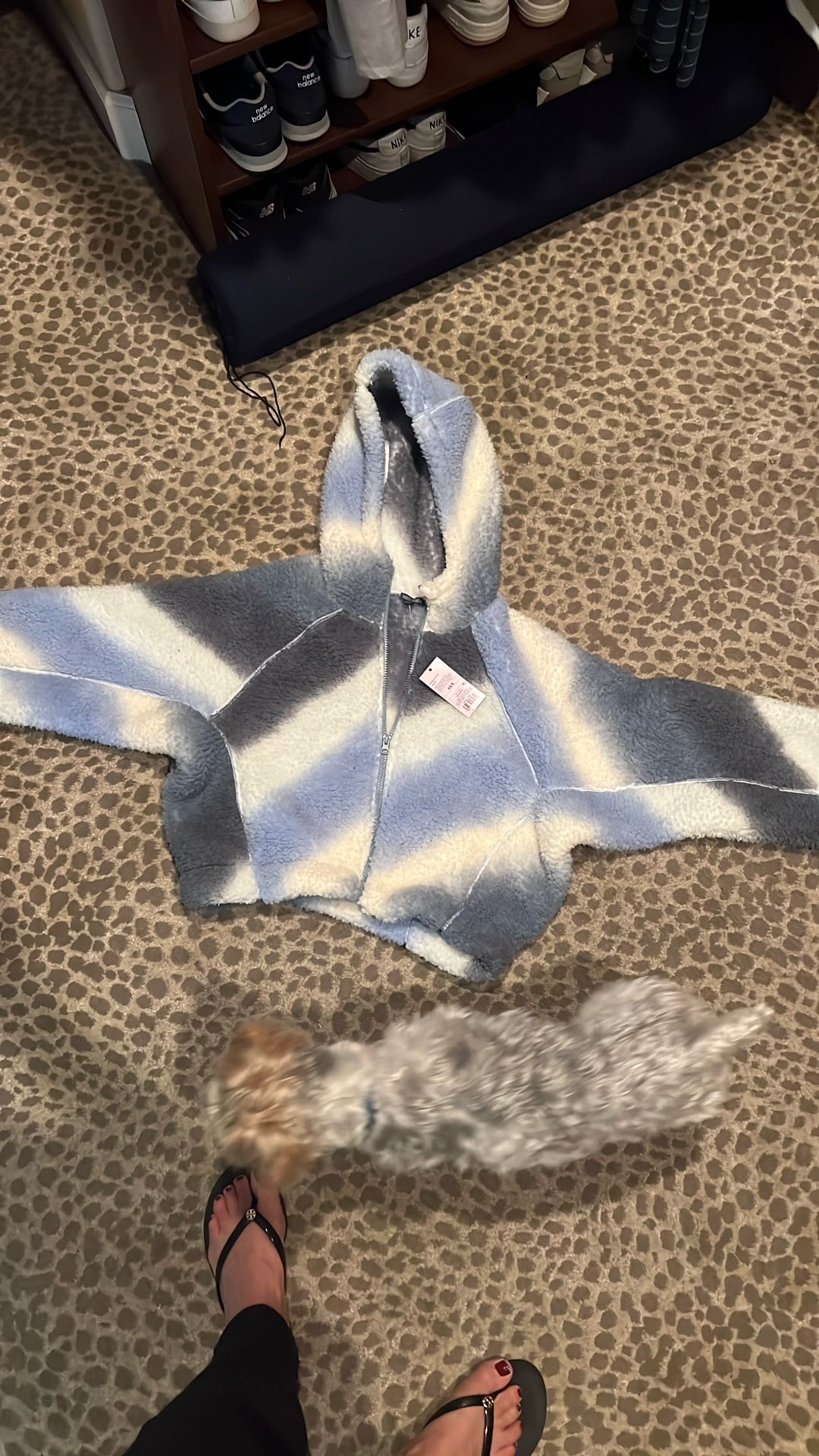 XS/S Fuzzy Hooded Sweatshirt (Target)