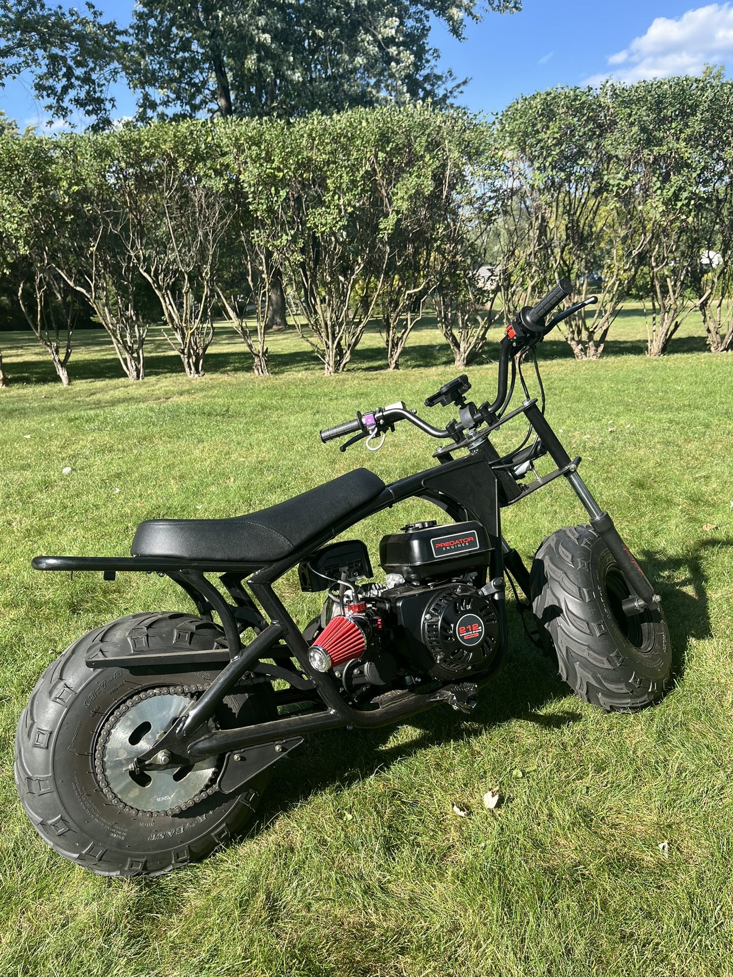 Mini Bike