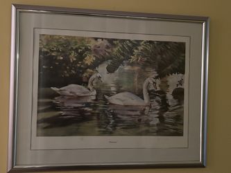 Framed Swan Print