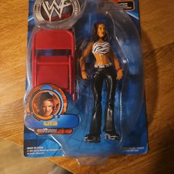 W W F WWE (LITA)