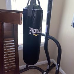 Everlast Punching Bag