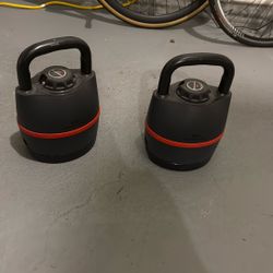 Bowflex Kettlebell Pair
