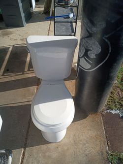 Glacier Bay White toilet