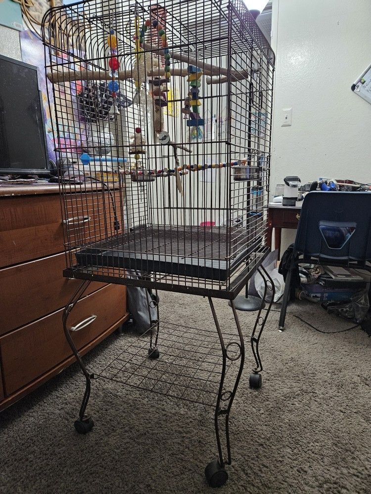 Medium Bird Cage