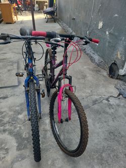 DOS  Bicicletas