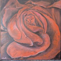 14*14 Inches Original Oil Painting. The Red Rose
