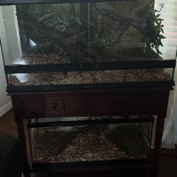 Snake Habitat  And 10 Gallon Tank