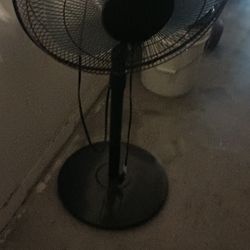 Fan
