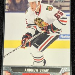 2013-14 Upper Deck #114 Andrew Shaw, Chicago Blackhawks 