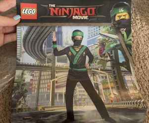 LEGO ninjas costume