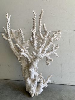 Real Coral Piece