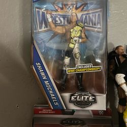 Wwe Action Figure 