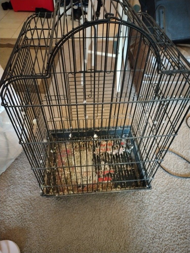 We Sell Bird Cage $50 Dollars 