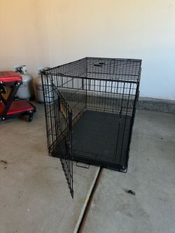 Folding Pet Crate