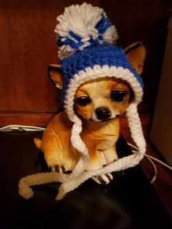 Dog beanie