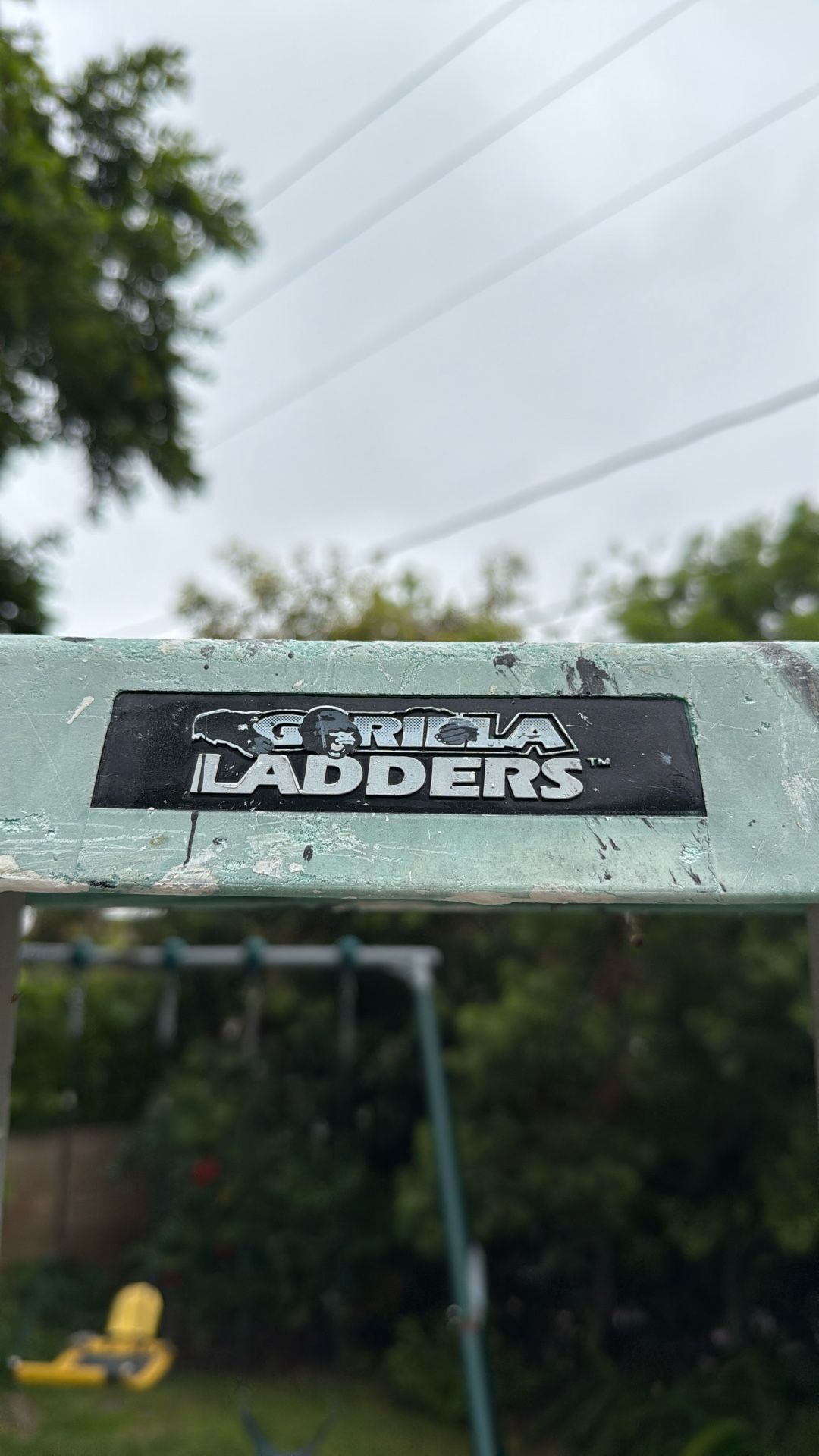 8’ Gorilla Ladder