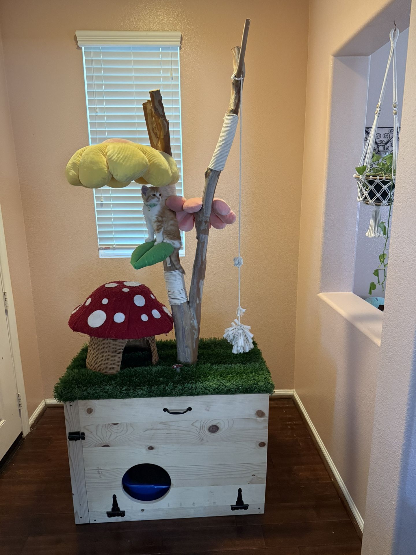 Cat Tree With Built In Litter Box