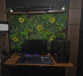Complete Gaming Setup / Computer gaming