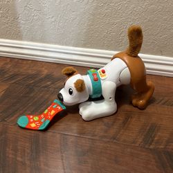Pull Sock Music Dog