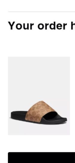 Coach slides