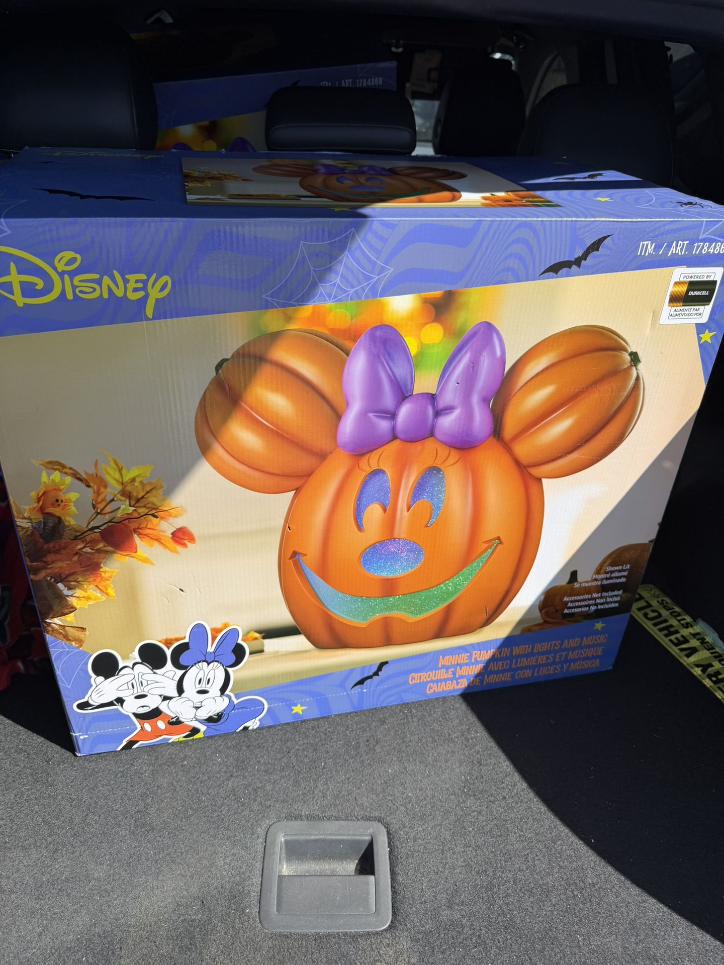 Disney Mini pumpkins