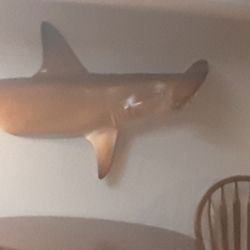 Awesome Realistic....Hammer Head Shark