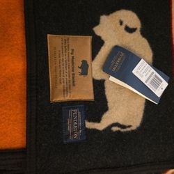 Pendleton Big Medicine Blanket