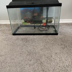 Only Fish Tank