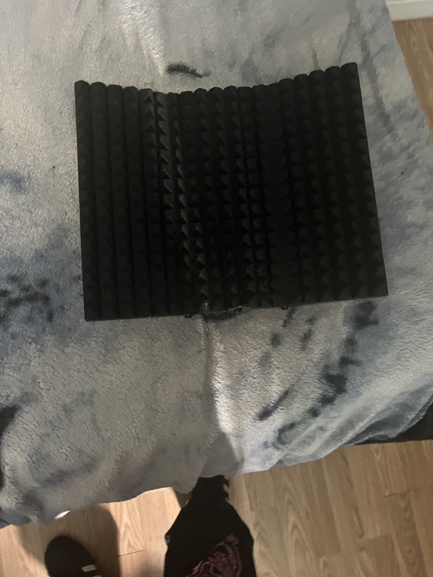 Mic Shield