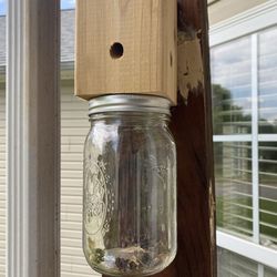 Carpenter Bee traps