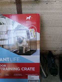 Dog Cage Used On Time