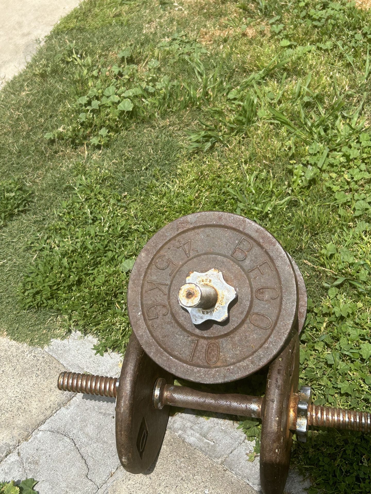 20 Pounds Dumbbell ( Plates Are 10)