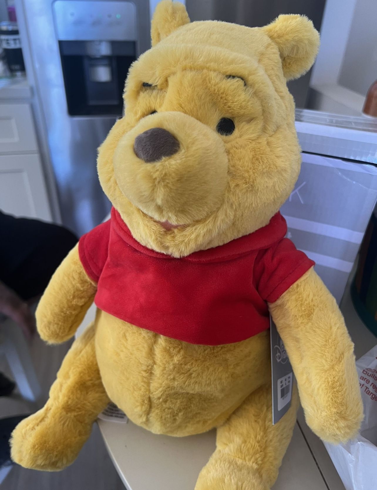 Winnie The Pooh Plush