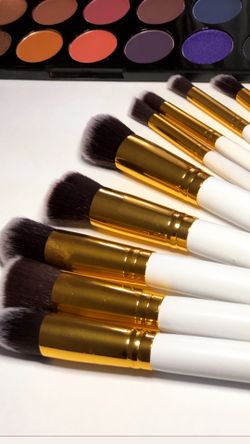 10pc Makeup brushes