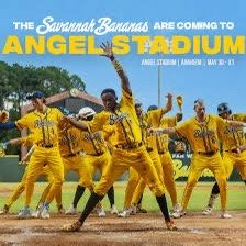Savannah Banana Ticket - Field Level