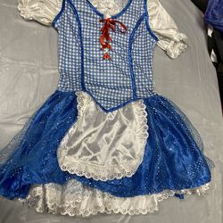 The Wizard Of Oz Dorothy Halloween Costume. 