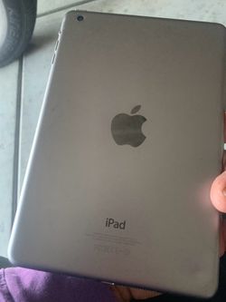 iPad mini1