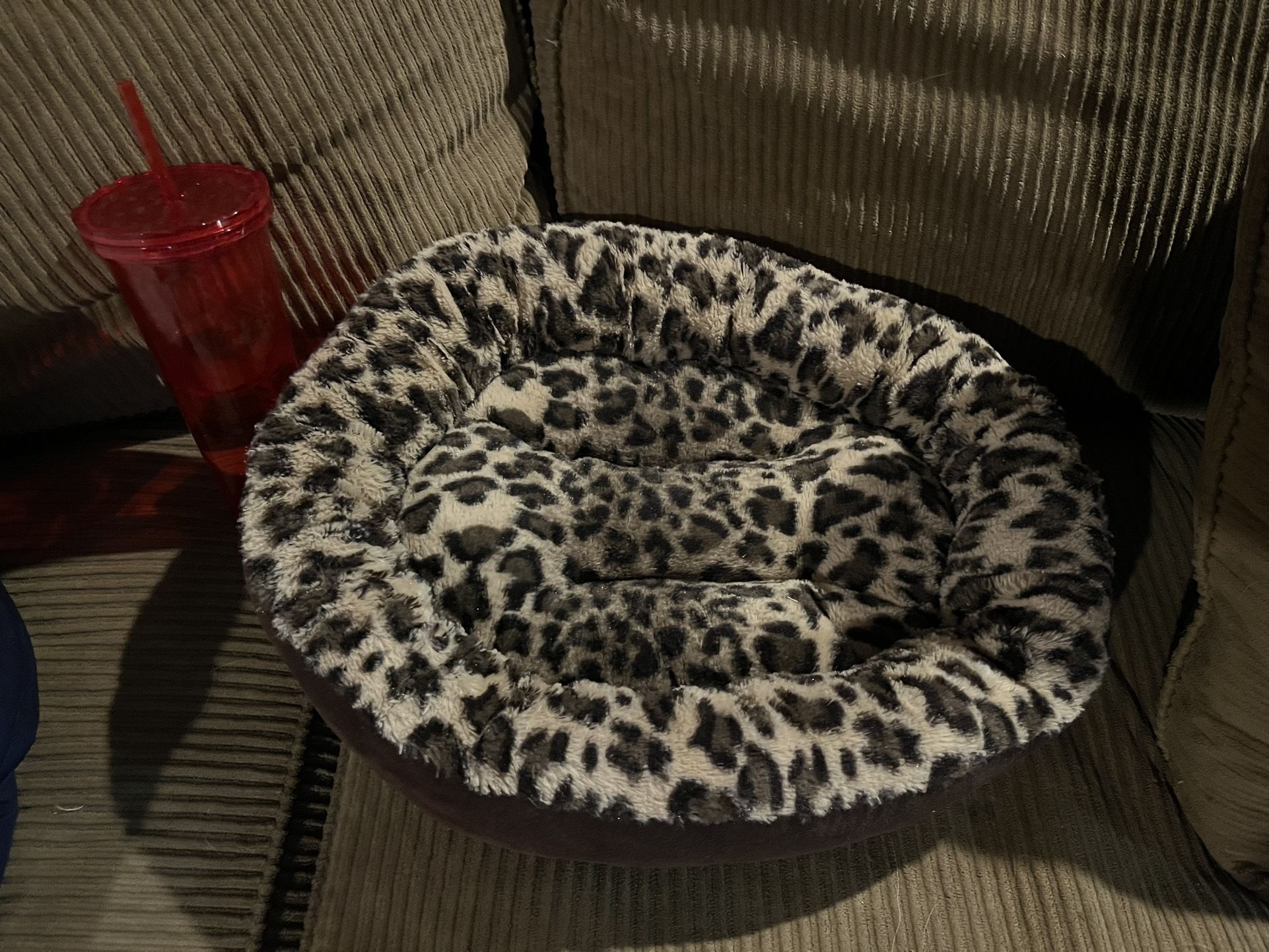 Cutest PET BED!  Animal print 