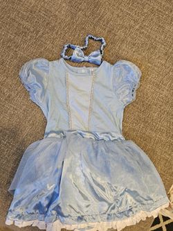 Princess Dress Costume