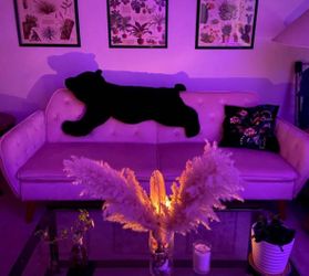 pink futon couch