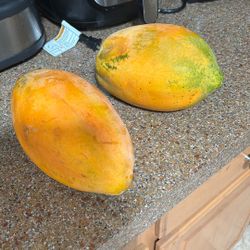 Papaya Free