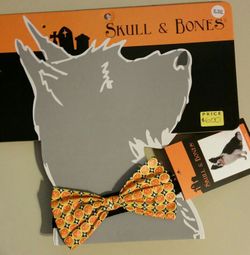 Pumpkin Pet Bow Tie - XL/XXL