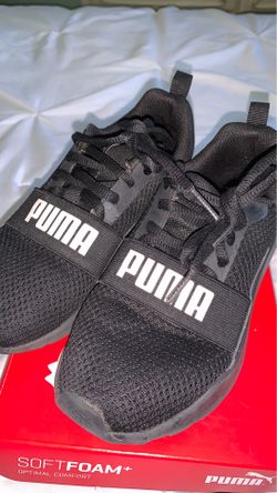 Pumas