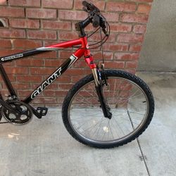 Giant Mountain Bike - Ready To Ride