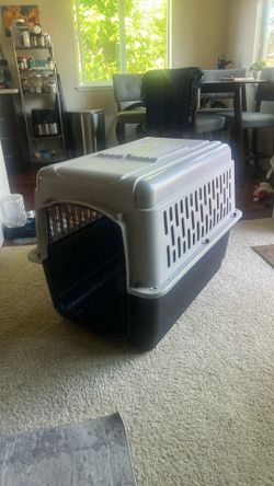Large dog crate