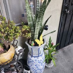 Plant Sale Today Open Till 6pm 