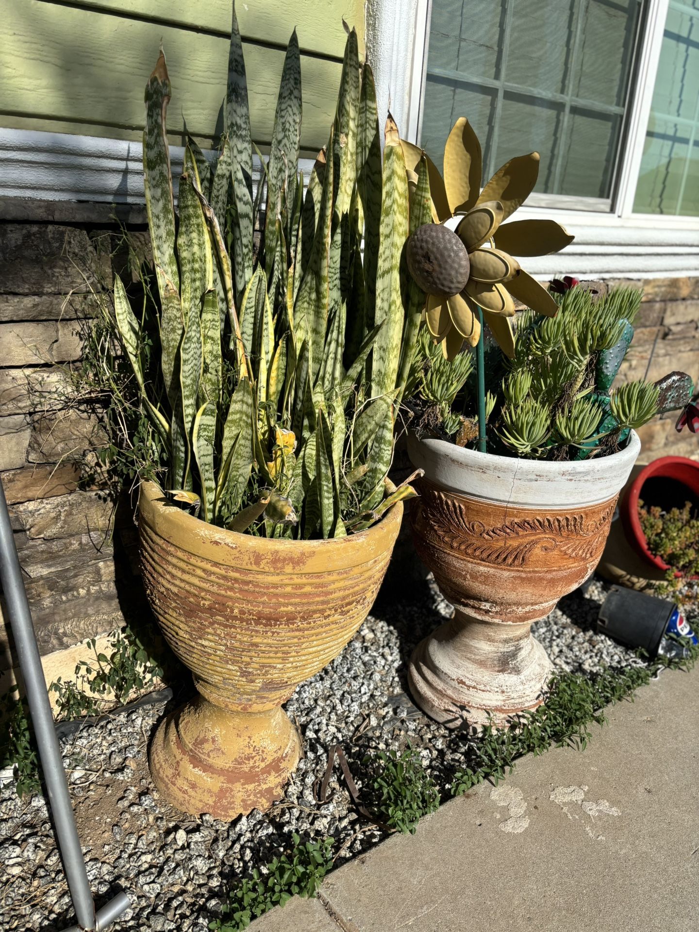 Pot And Plants