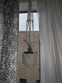 Macrame plant hanger